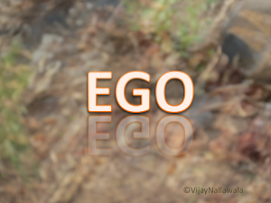 Ego-resized