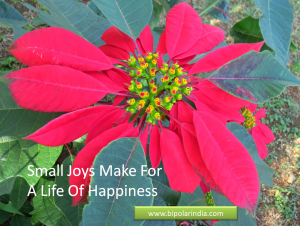 small-joys